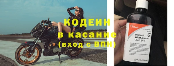 шишки Арсеньев