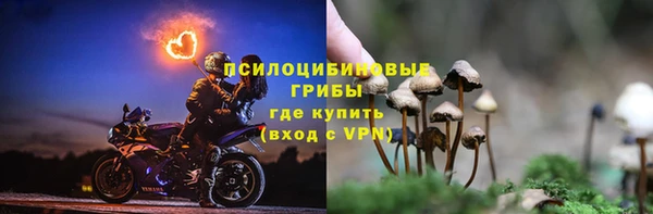 амф Армянск