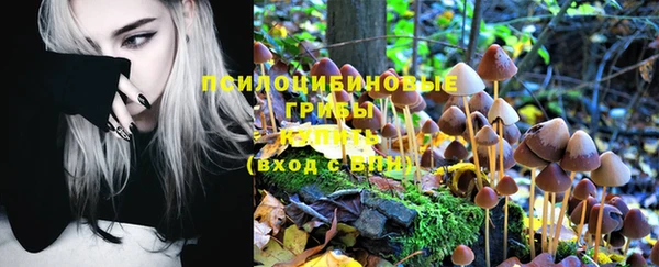 гашик Аркадак