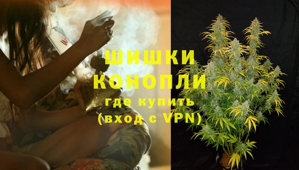 шишки Арсеньев