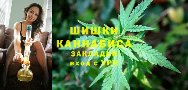 шишки Арсеньев