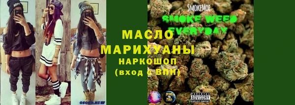 гашик Аркадак