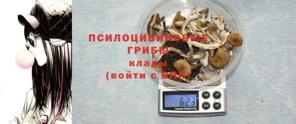 гашик Аркадак