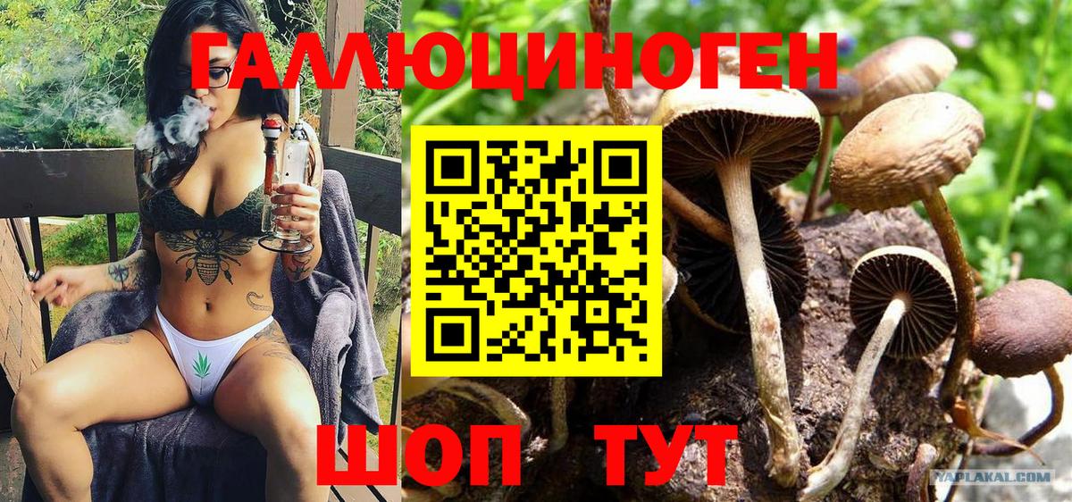 Галлюциногенные грибы GOLDEN TEACHER Барабинск